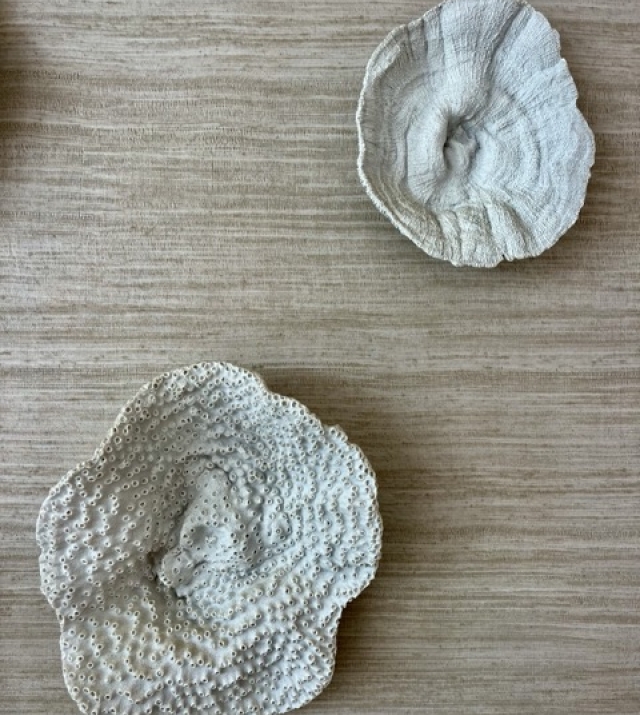 IMG_3461 normaal.jpeg